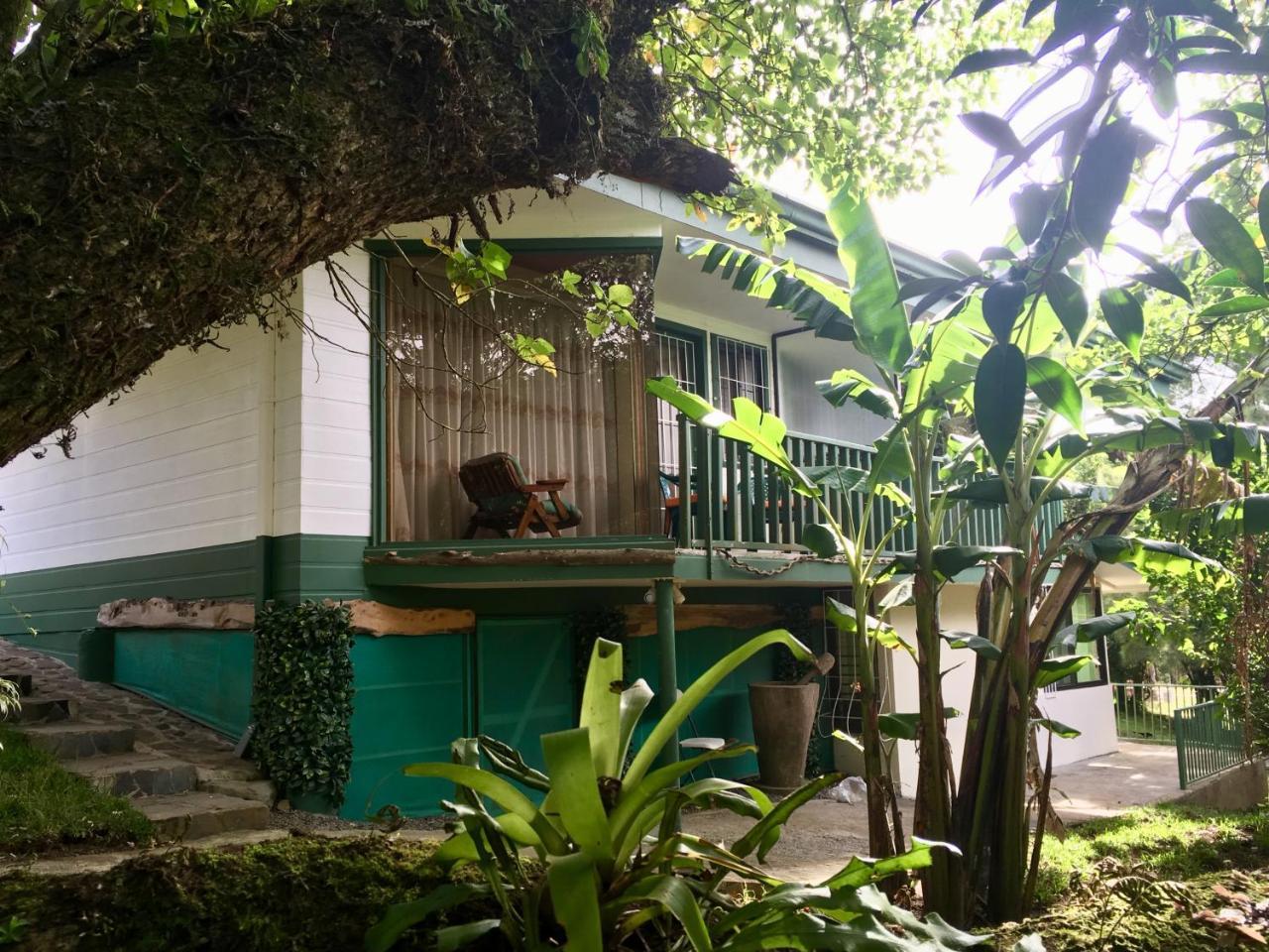 Paris Confort B&B Monteverde Eksteriør billede