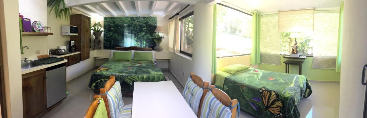 Paris Confort B&B Monteverde Eksteriør billede